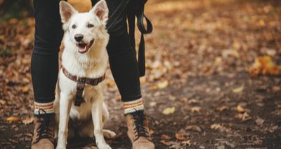 Alabama rot website launches